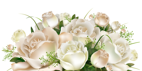 5090154_White_Roses_Decoration_PNG_Clipart_Picture (600x301, 206Kb)