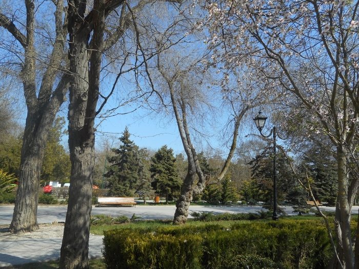 4878453_ukr_1146 (700x525, 380Kb)