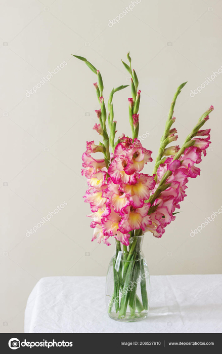 depositphotos_206527610-stock-photo-bouquet-multicolored-gladioli-glass-vase (439x700, 219Kb)