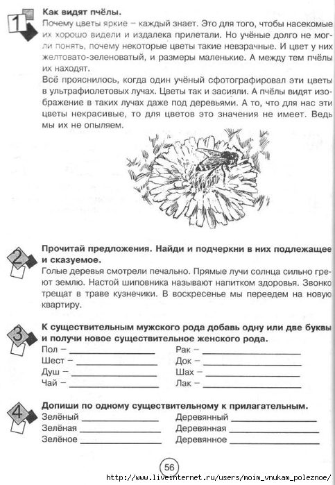 Zanimatelnaya_letnyaya_shkola_3-4_klass_56 (483x700, 210Kb)
