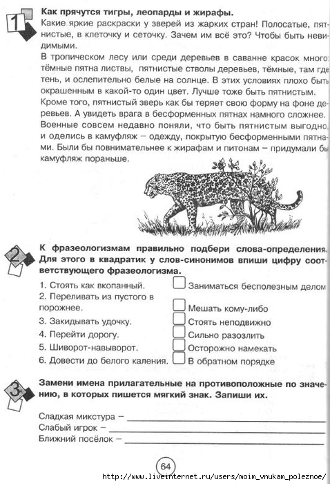 Zanimatelnaya_letnyaya_shkola_3-4_klass_64 (478x700, 232Kb)