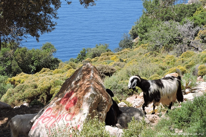  , Fethiye, Turkey (14) (700x466, 441Kb)