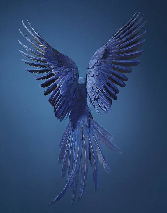 3 (548x700, 30Kb)