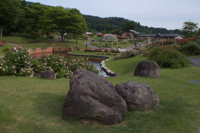 IMG_9836 (700x466, 266Kb)