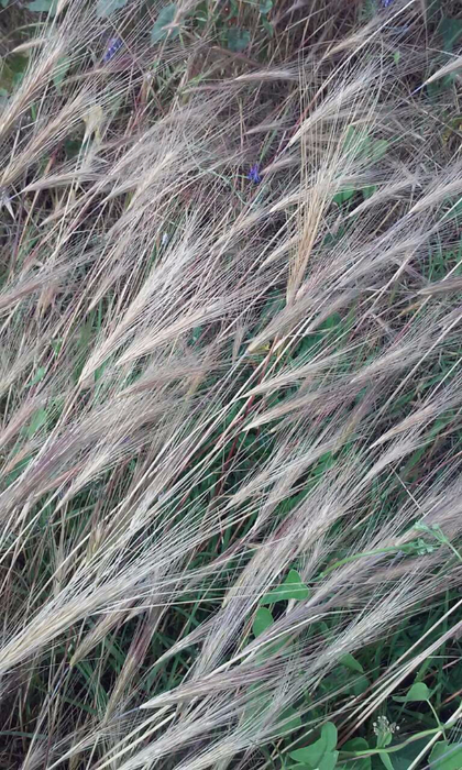 76 (420x700, 399Kb)