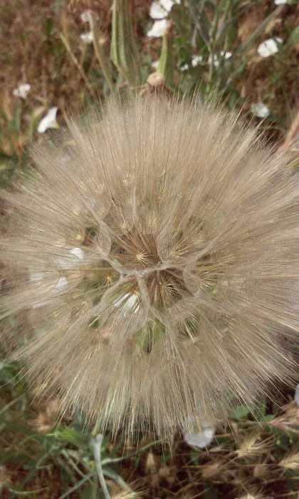 09 (420x700, 320Kb)