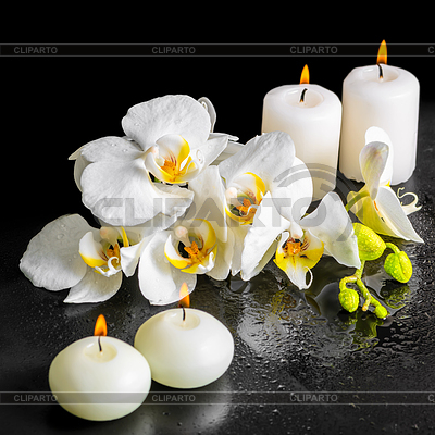 5704859-beautiful-spa-still-life-of-blooming-white-orchid (400x400, 180Kb)