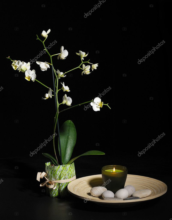depositphotos_10038325-stock-photo-spa-still-life-with-orchid (549x700, 179Kb)