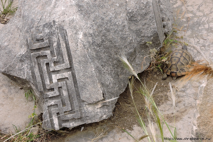 Xanthos, Turkey, ,  (20) (700x466, 390Kb)