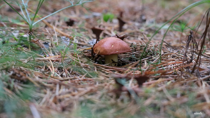 IMG_6855 (700x393, 334Kb)