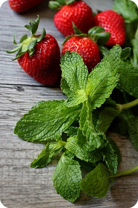 4920201_BeFunky_StrawberryMintWater1_jpg (466x700, 279Kb)