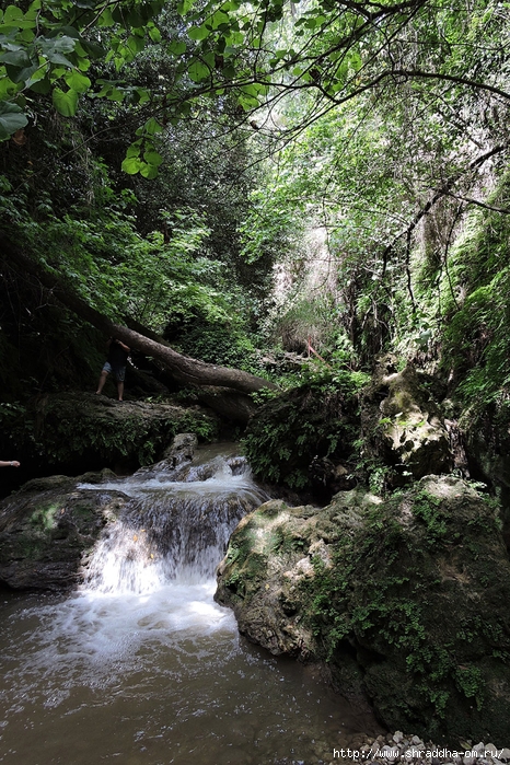 Waterfall, Turkey, Shraddhatravel (11) (466x700, 420Kb)