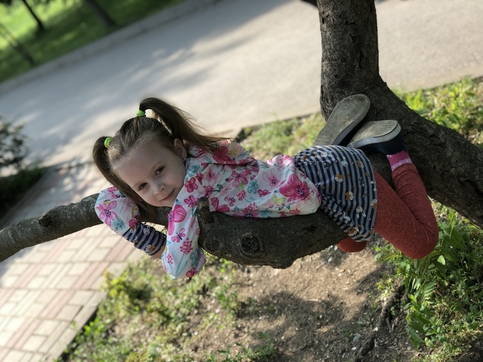 IMG_E5176 (700x525, 162Kb)