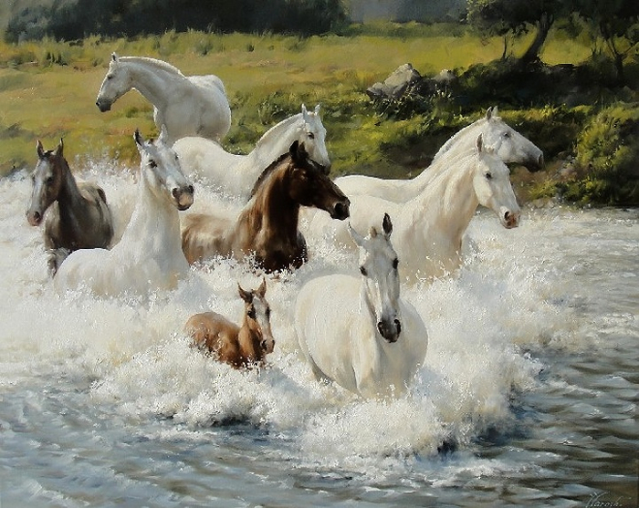0015787-www.nevsepic.com.ua (700x557, 422Kb)