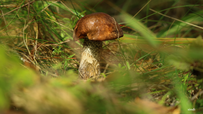 IMG_6728 (700x393, 294Kb)