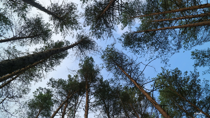 IMG_6773 (700x393, 489Kb)