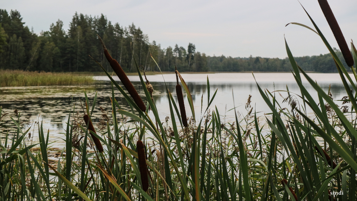 IMG_6869 (700x393, 384Kb)