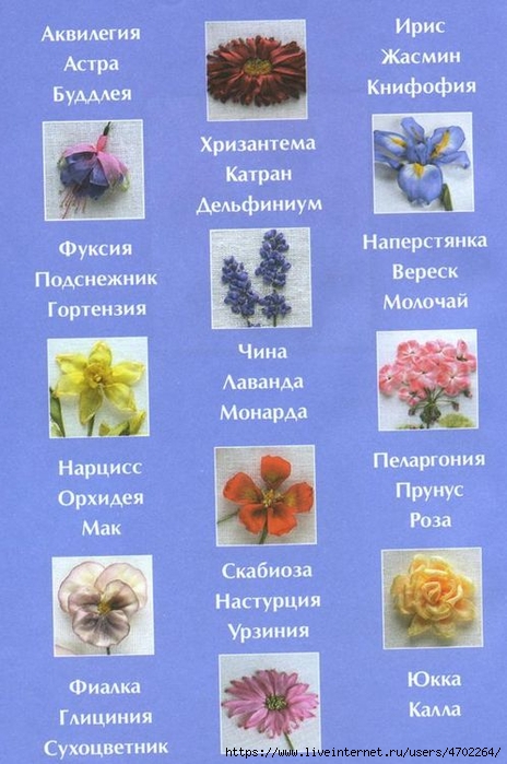  (464x700, 240Kb)