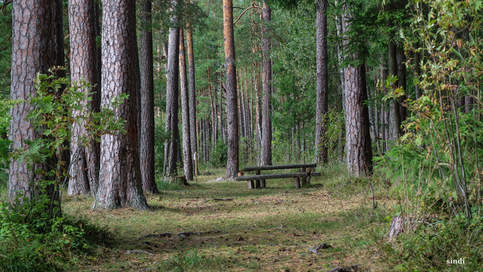 IMG_6927 (700x393, 491Kb)