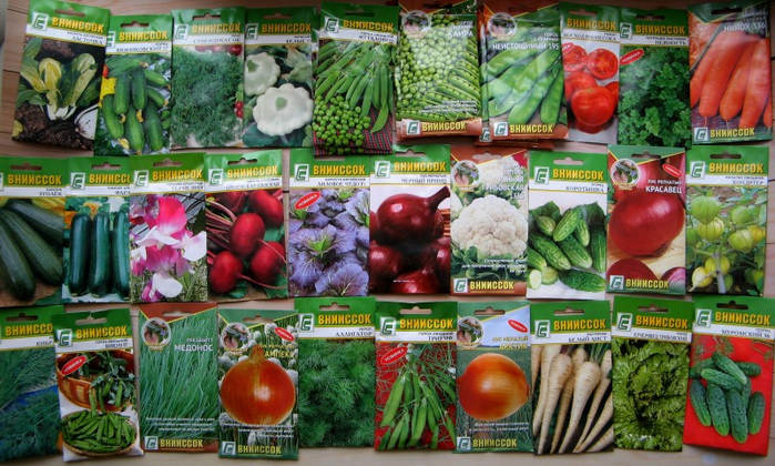 семена овощей