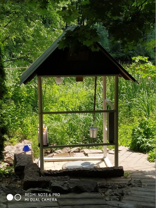 IMG_20190610_115207 (525x700, 163Kb)