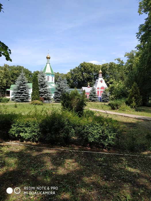 IMG_20190610_120202 (525x700, 144Kb)