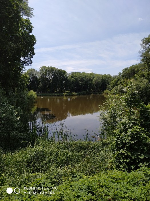 IMG_20190610_115631 (525x700, 140Kb)