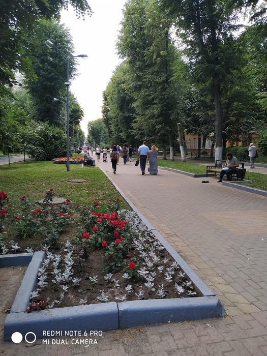 IMG_20190610_182303 (525x700, 150Kb)