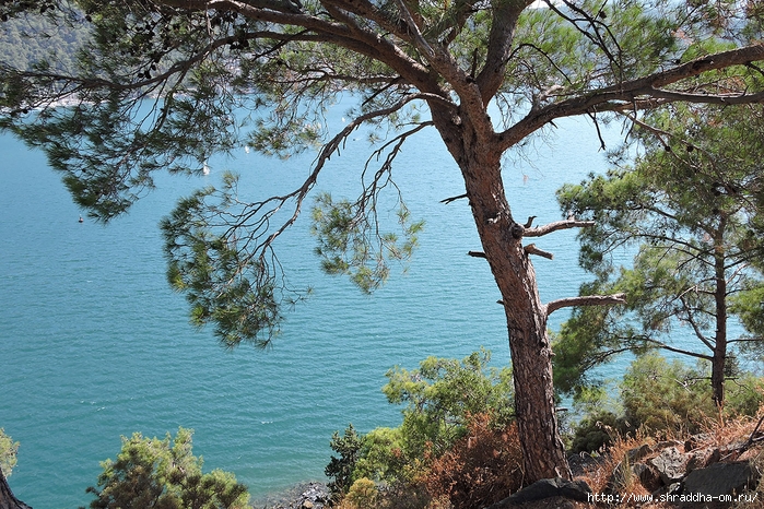 Fethiye, Turkey (62) (700x466, 426Kb)