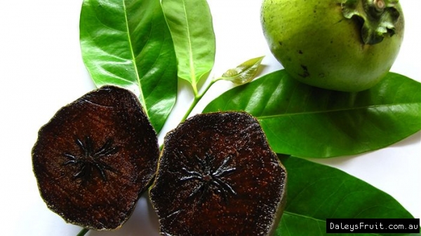 3577132_BlackSapote3570 (600x337, 151Kb)