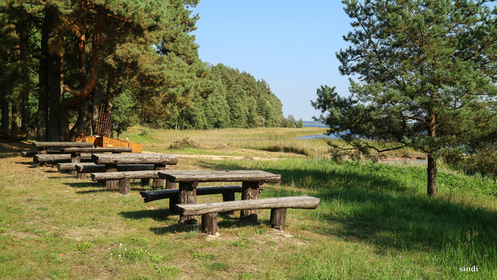 IMG_7052 (700x393, 458Kb)