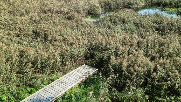 IMG_7032 (700x393, 526Kb)