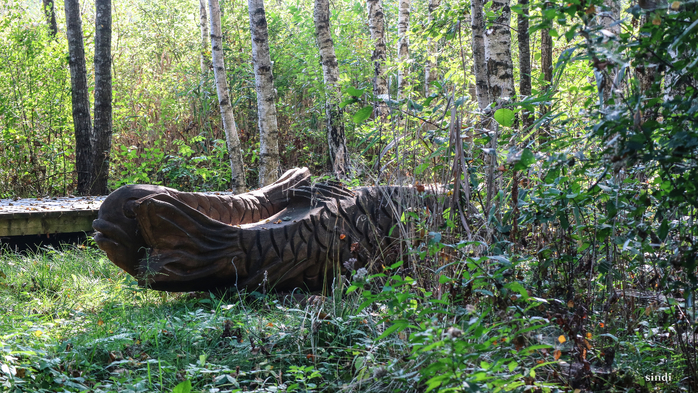 IMG_7022 (700x393, 537Kb)