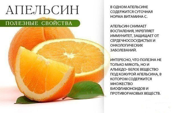 польза оранжевых плодов 2 (604x398, 188Kb)