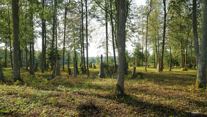 IMG_7065 (700x393, 522Kb)