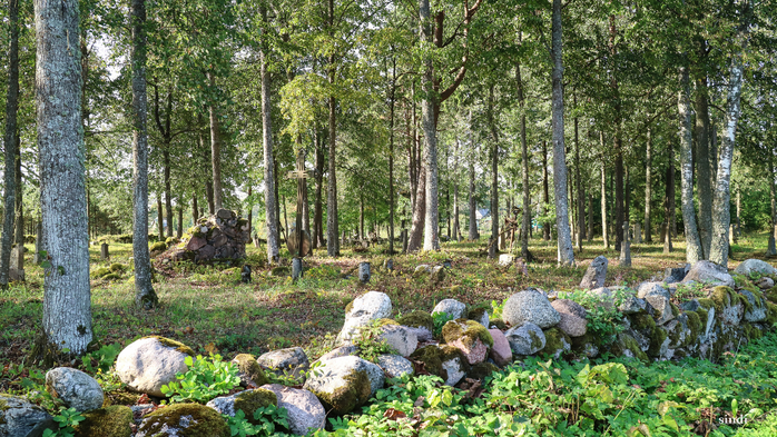 IMG_7066 (700x393, 534Kb)