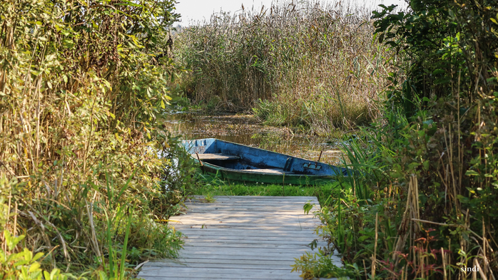 IMG_7014 (700x393, 501Kb)
