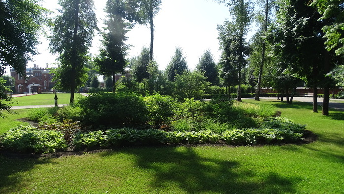 DSC06360 (700x394, 169Kb)