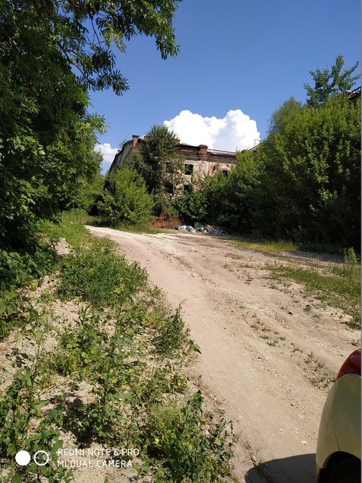 IMG_20190612_104941 (525x700, 157Kb)