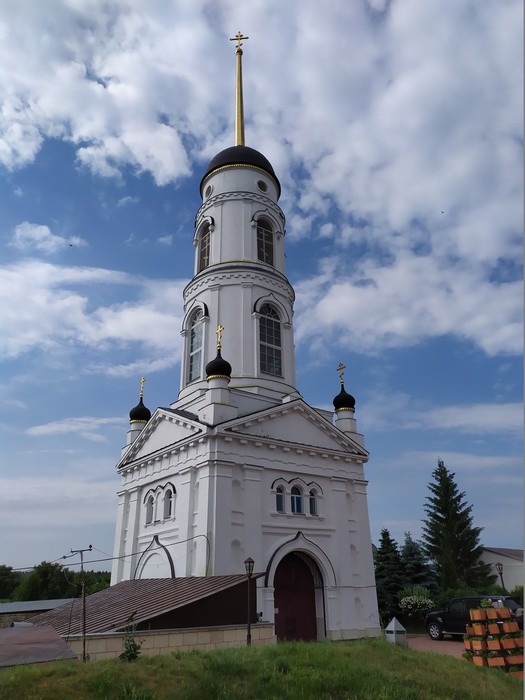 IMG_20190613_084450 (525x700, 77Kb)
