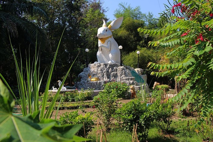 Wat-Samphran-Bangkok-Rabbit (700x466, 155Kb)