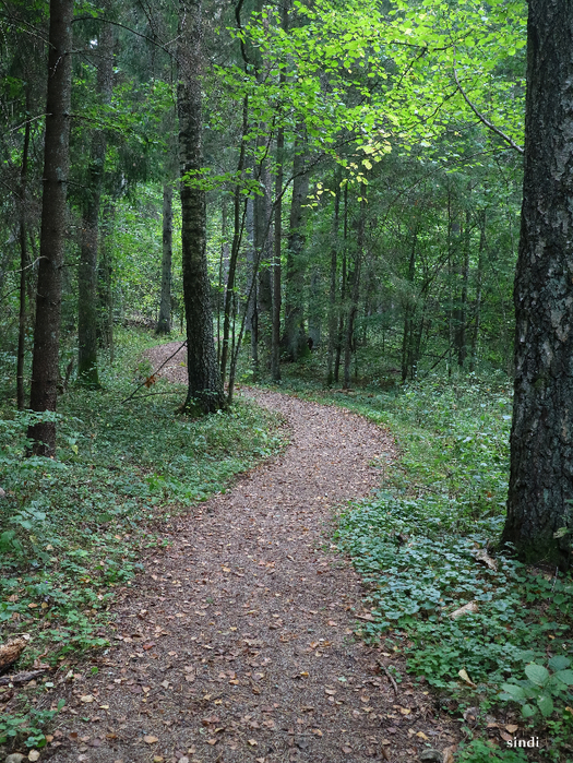 IMG_7074 (525x700, 650Kb)