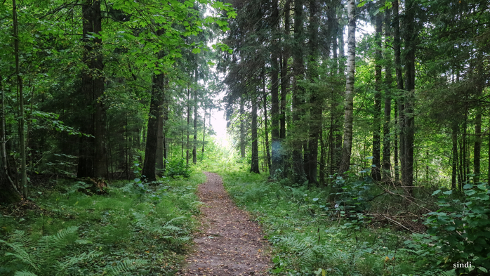 IMG_7079 (700x393, 455Kb)