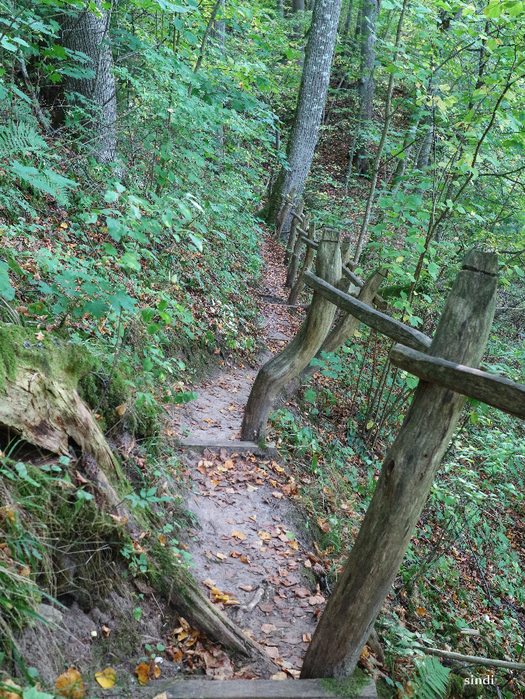 IMG_7085 (525x700, 691Kb)