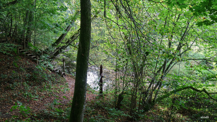 IMG_7090 (700x393, 535Kb)