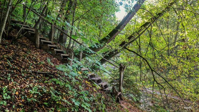 IMG_7092 (700x393, 564Kb)