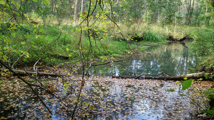 IMG_7100 (700x393, 542Kb)
