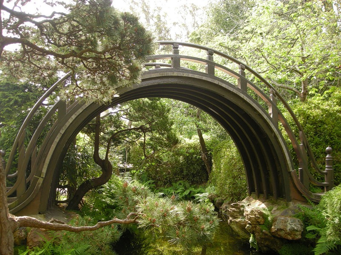 alt="  Japanese Tea Garden  -"