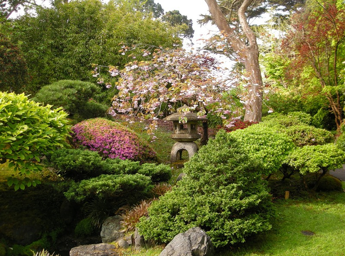 alt="  Japanese Tea Garden  -"