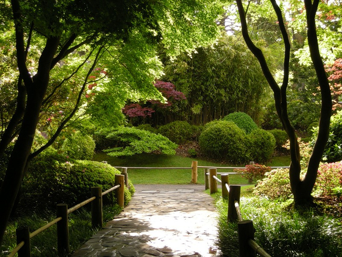 alt="  Japanese Tea Garden  -"